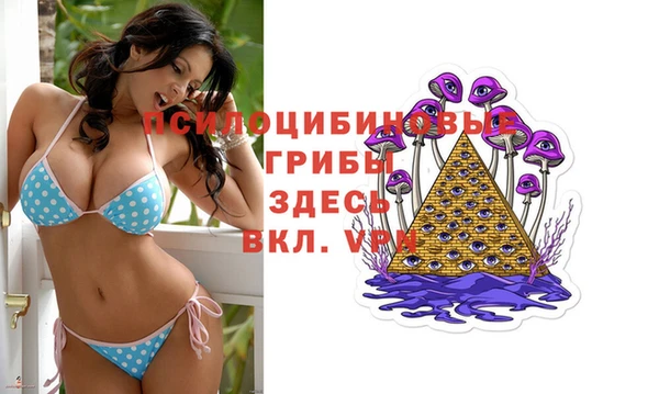 мдпв Коряжма