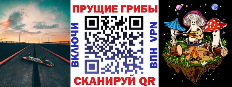 как найти   Нолинск  Псилоцибиновые грибы GOLDEN TEACHER 